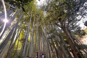Kamakura and Enoshima: Private Guided Day Tour with Vehicle