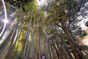 Камакура и Эносима: частная однодневная экскурсия с гидом и транспортом