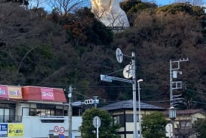 Tokyo: Kamakura and Yokohama Private Day Trip with Guide