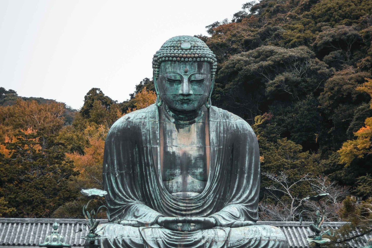 Kamakura: Great Buddha, Enoshima, and Yokohama Private tour