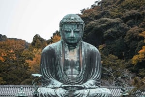 Kamakura: Great Buddha, Enoshima, and Yokohama Private tour