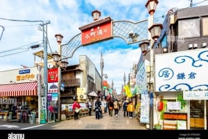 Kamakura: Great Buddha, Enoshima, and Yokohama Private tour