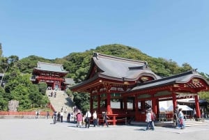 Kamakura: Tour particular de um dia com guia de turismo que fala inglês