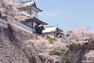 金沢半日電動自転車ツアーをご案内します