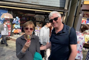 金沢半日電動自転車ツアーをご案内します