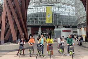 Kanazawa Half Day + Kenrokuen (E-bike Tour)