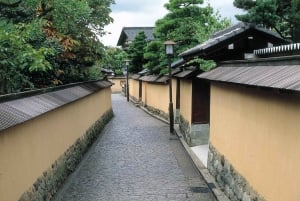 Kanazawa Half Day + Kenrokuen (E-bike Tour)