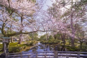 Kanazawa Half Day + Kenrokuen (E-bike Tour)