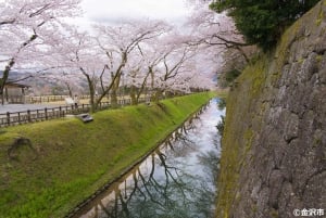 Kanazawa Half Day + Kenrokuen (E-bike Tour)