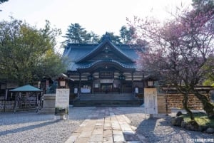 Kanazawa Half Day + Kenrokuen (E-bike Tour)