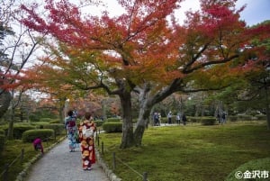 Kanazawa Half Day + Kenrokuen (E-bike Tour)