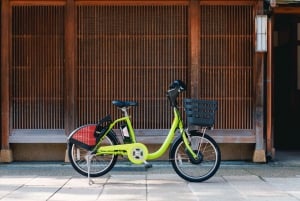 Kanazawa Half Day + Kenrokuen (E-bike Tour)