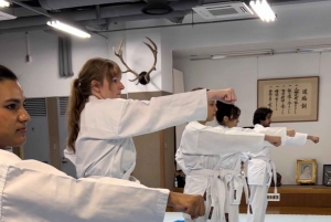 Karateopplevelse med Shotokan Karate-do-instruktøren