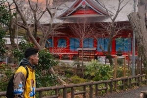 Kichijoji: Parker, caféer og lokal stemning