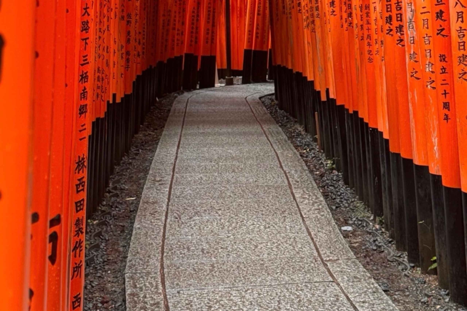 東京発、新幹線で行く京都日帰りツアー（プライベートツアー）