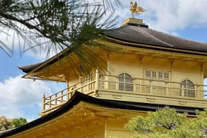 東京発、新幹線で行く京都日帰りツアー（プライベートツアー）