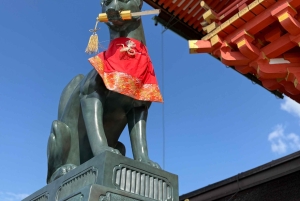 東京発、新幹線で行く京都日帰りツアー（プライベートツアー）