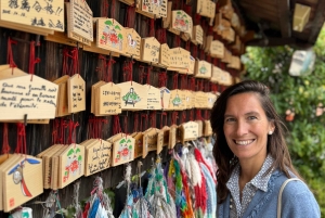 東京発、新幹線で行く京都日帰りツアー（プライベートツアー）