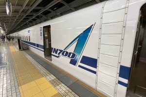 東京発、新幹線で行く京都日帰りツアー（プライベートツアー）