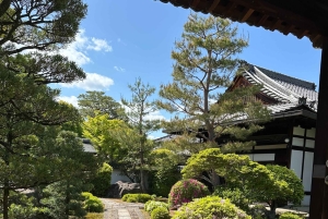 東京発、新幹線で行く京都日帰りツアー（プライベートツアー）