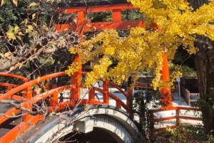東京発、新幹線で行く京都日帰りツアー（プライベートツアー）