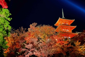 東京発、新幹線で行く京都日帰りツアー（プライベートツアー）