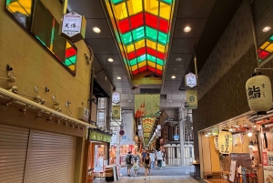 東京発、新幹線で行く京都日帰りツアー（プライベートツアー）