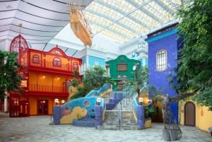 Kioto/Osaka: tour de 1 día por el Museo Ghibli y el Museo Toyota