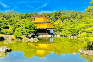 Kyoto: całodzienna wycieczka prywatna z przewodnikiem w j. angielskim