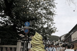 Kyoto: całodzienna wycieczka prywatna z przewodnikiem w j. angielskim