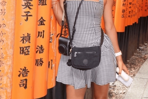 Kyoto: całodzienna wycieczka prywatna z przewodnikiem w j. angielskim