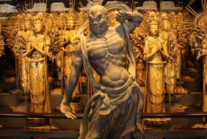 Kyoto: całodzienna wycieczka prywatna z przewodnikiem w j. angielskim