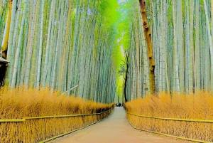 Kyoto: całodzienna wycieczka prywatna z przewodnikiem w j. angielskim