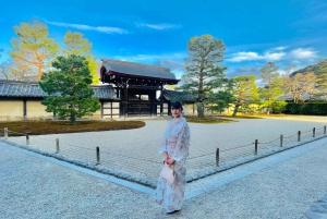Kyoto: całodzienna wycieczka prywatna z przewodnikiem w j. angielskim