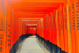 Kyoto: całodzienna wycieczka prywatna z przewodnikiem w j. angielskim