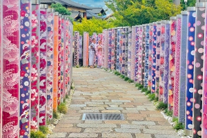 Kyoto: całodzienna wycieczka prywatna z przewodnikiem w j. angielskim