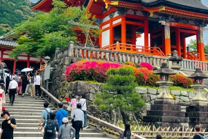 Kyoto: całodzienna wycieczka prywatna z przewodnikiem w j. angielskim