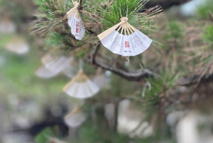 Kyoto: całodzienna wycieczka prywatna z przewodnikiem w j. angielskim