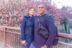 Lisensiert guide Tokyo Meguro Cherry Blossom Omvisning til fots