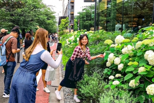Lisensiert guide Tokyo Meguro Cherry Blossom Omvisning til fots