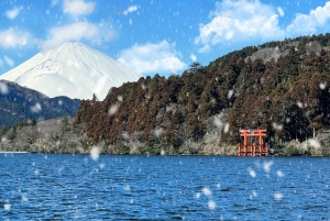 Begränsat: Fuji och Hakone, GRATIS piratskepp och Owakudani-linbana