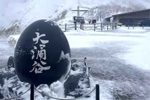 Begränsat: Fuji och Hakone, GRATIS piratskepp och Owakudani-linbana