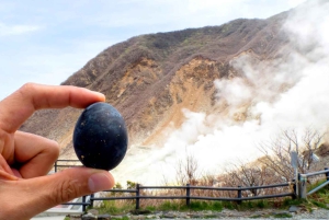 Begränsat: Fuji och Hakone, GRATIS piratskepp och Owakudani-linbana