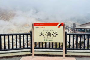 Begränsat: Fuji och Hakone, GRATIS piratskepp och Owakudani-linbana