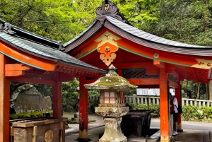 Begränsat: Fuji och Hakone, GRATIS piratskepp och Owakudani-linbana