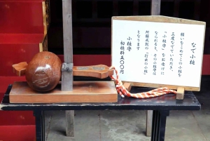 Begränsat: Fuji och Hakone, GRATIS piratskepp och Owakudani-linbana