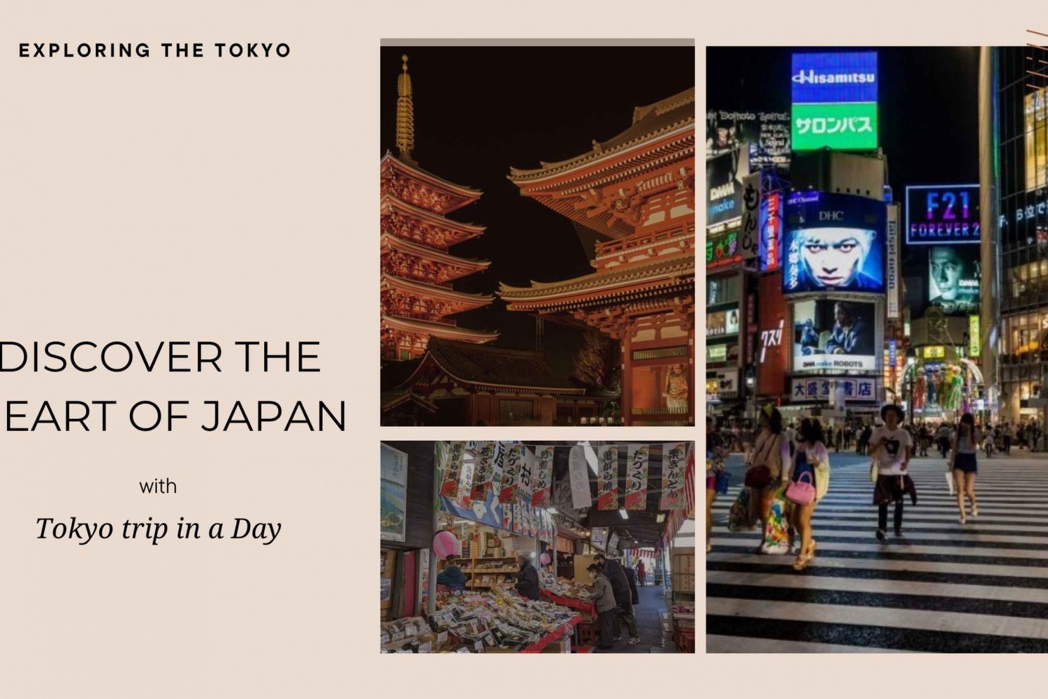 Tokyo full day private tour with Guide