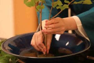 Lyxig ikebana-upplevelse