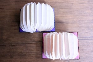 Mini Origami-lampa och Mizuhiki knutbälte Workshop i Ueno