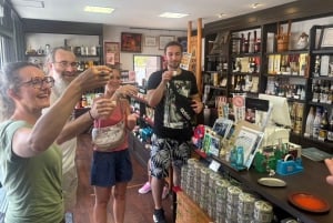 Miyajima Full-Course Day Tour: Temple & Ropeway with Lunch